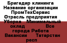 Бригадир клининга › Название организации ­ ПромТехСервис › Отрасль предприятия ­ Уборка › Минимальный оклад ­ 30 000 - Все города Работа » Вакансии   . Татарстан респ.